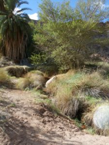 Fish River Canyon Hike