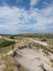 Witsand kalahari