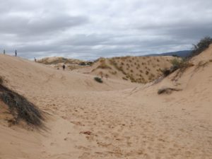 Roaring Dune Witsand