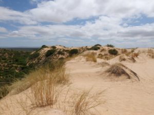 Witsand Kalahari