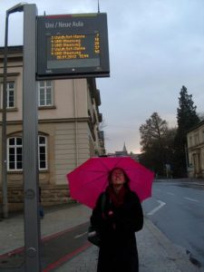 Public transport Germany Bus