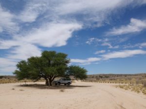 December in the Kgalagadi