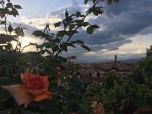 Views of Firenze
