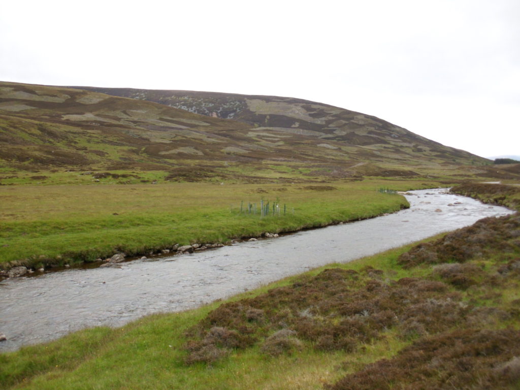 cairngorms