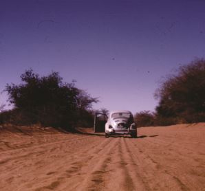 Beetle deur Botswana