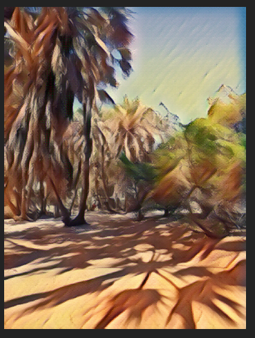 Camp Cornie  palms over white sand