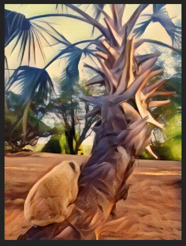 Camp Cornie a dassie in a palm tree