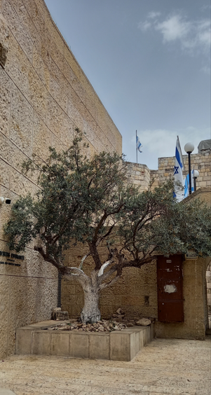 Jerusalem Israel Boom teen muur