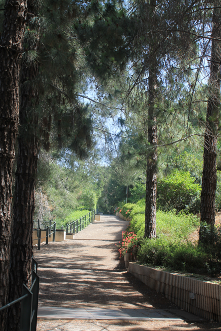 Mount Herzl & Yad Vashem