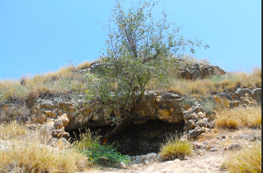 Die grot oppad Kapernaum toe