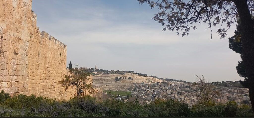 Mount of Olives in the distance