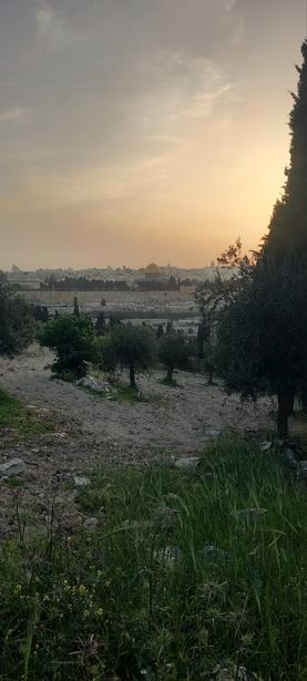 south of the lookout on the mount of olives