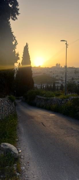 south of the lookout on the mount of olives