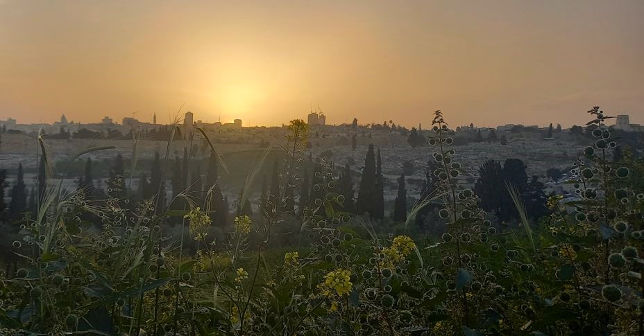 south of the mount of olives lookout